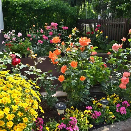 In Agard - Velence-see 51093 *