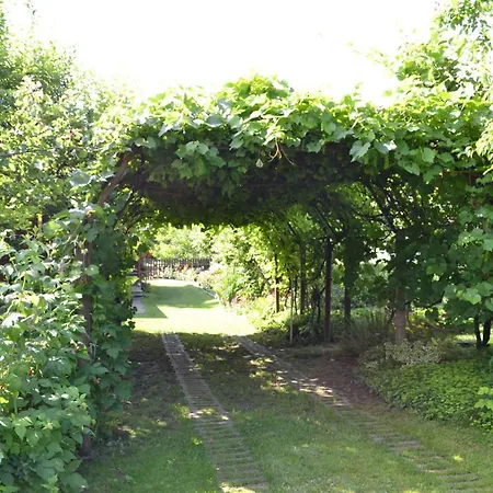 In Agard - Velence-see 51093 *