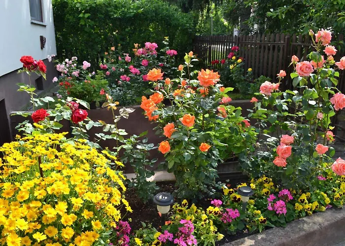 In Agard - Velence-see 51093 *